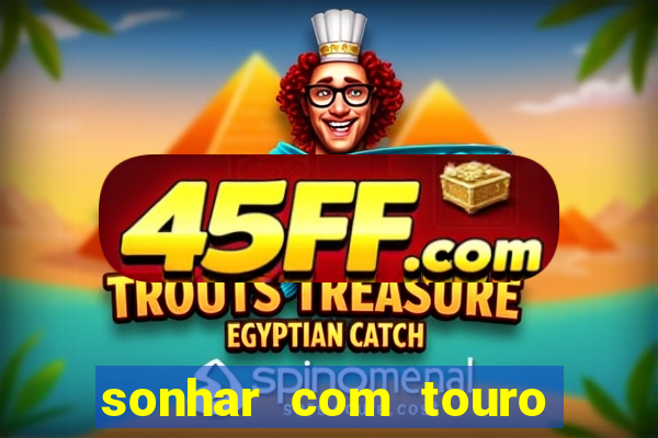 sonhar com touro bravo no mundo espiritual